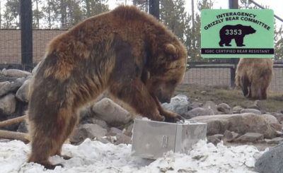 igbc certified bear resistant dry box